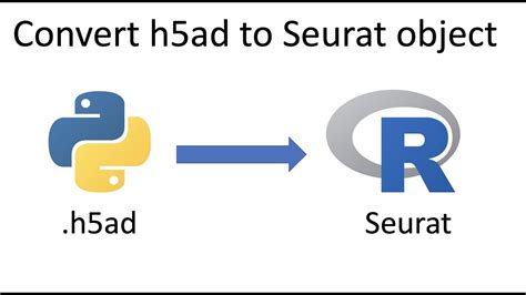 Can you he. . Convert h5ad to seurat in python